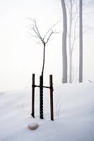 2013 02 16 B